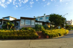 Ekologia w ogrodzie – Jak wpływa na nowoczesne style?