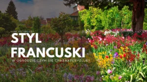 Ogród francuski – czym się charakteryzuje?