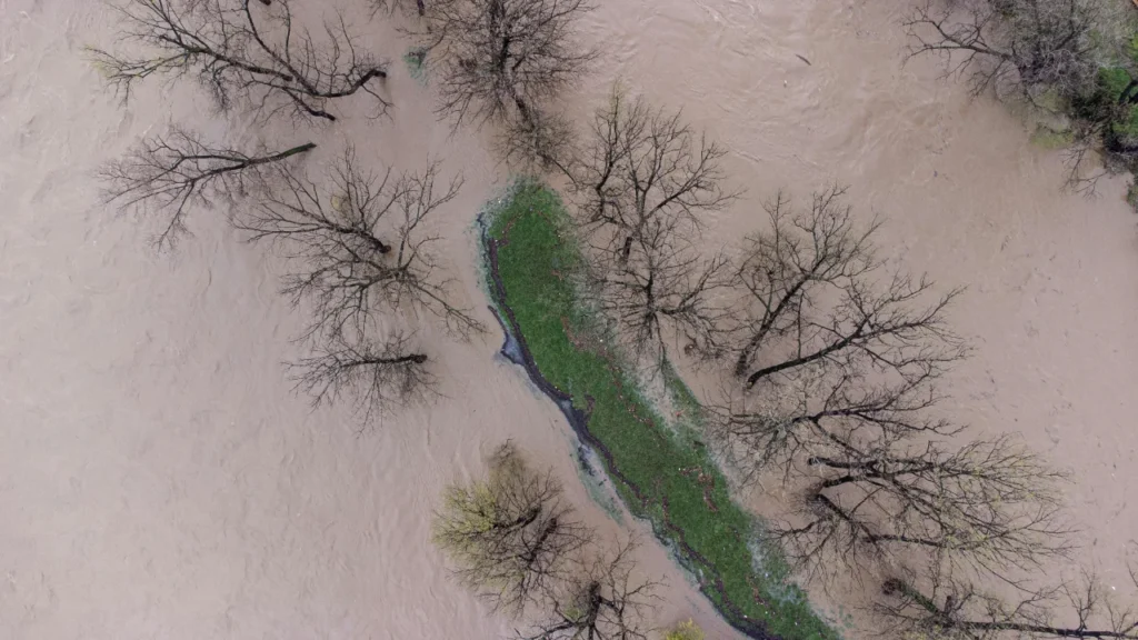 Jak wykonać drenaż gleby w ogrodzie? Skuteczne sposoby na zastoiny wody