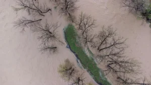 Jak wykonać drenaż gleby w ogrodzie? Skuteczne sposoby na zastoiny wody
