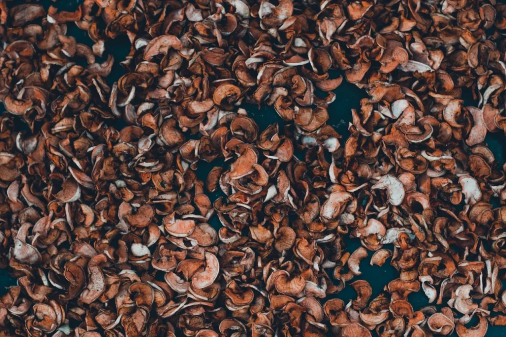 Kopczykowanie i nasypy ziemne: skuteczna ochrona podstawy roślin