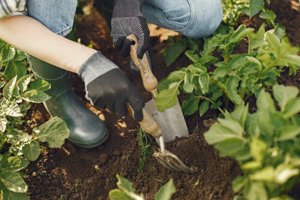 Dlaczego warto zbudować kompostownik dwukomorowy?