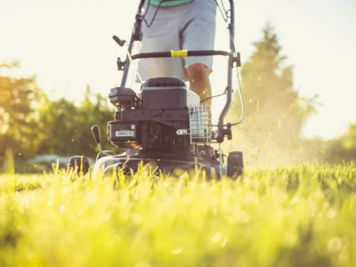 Jak piaskowanie trawnika poprawia jego kondycję?