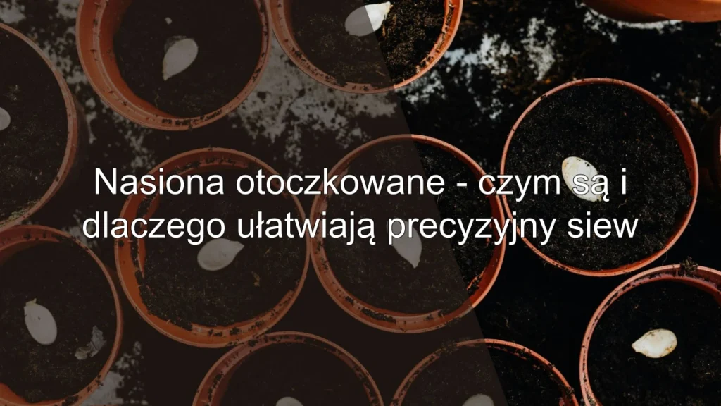 Nasiona otoczkowane – czym są i dlaczego ułatwiają precyzyjny siew