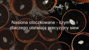 Nasiona otoczkowane – czym są i dlaczego ułatwiają precyzyjny siew