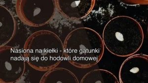 Nasiona na kiełki – które gatunki nadają się do hodowli domowej