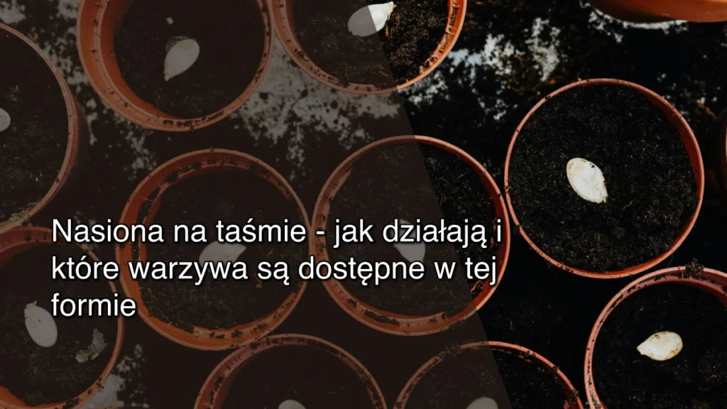 Nasiona na taśmie – jak działają i które warzywa są dostępne w tej formie