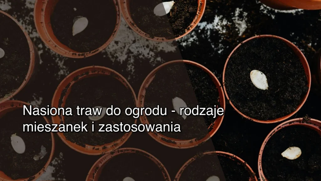 Nasiona traw do ogrodu – rodzaje mieszanek i zastosowania